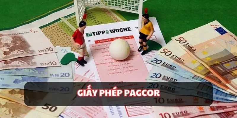 Một trong những loại giấy phép hoạt động nổi tiếng trên thế giới