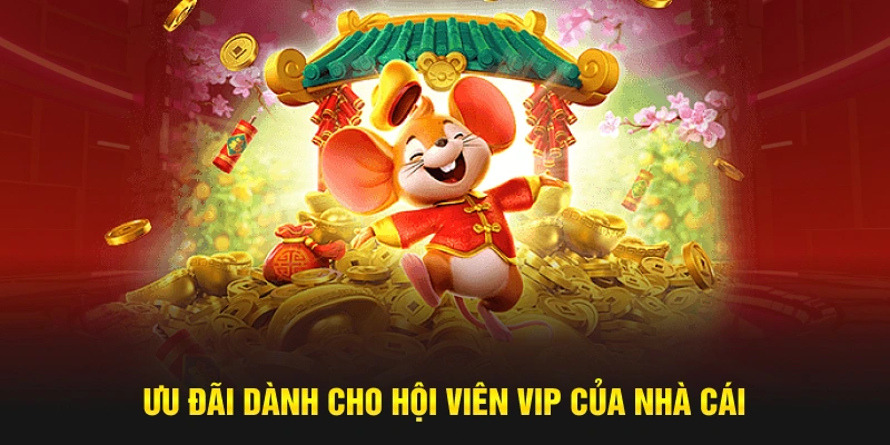 Khám phá hệ thống ưu đãi dành cho hội viên VIP của nhà cái